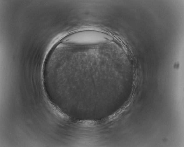 X0000116780104201001281130