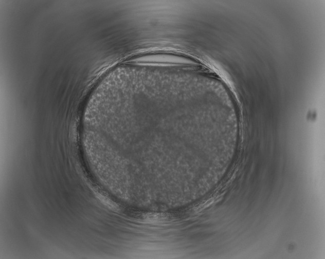 X0000116780105201001281130