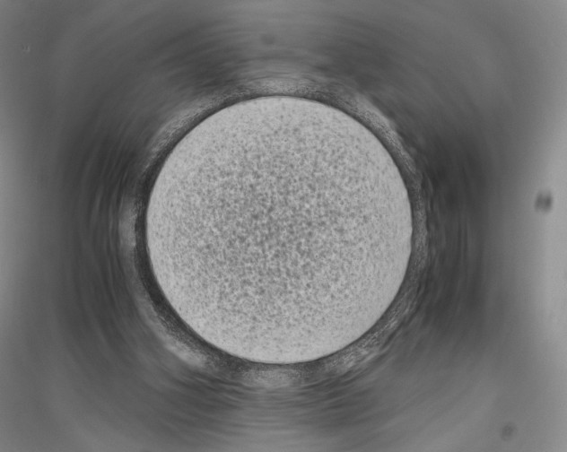 X0000116780106201001281130