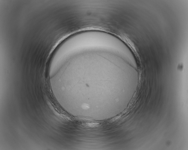 X0000116780108201001281130