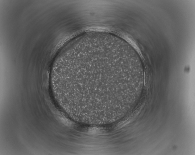 X0000116780109201001281130