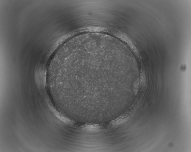 X0000116780110201001281130