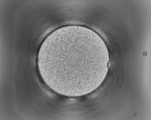 X0000116780111201001281130