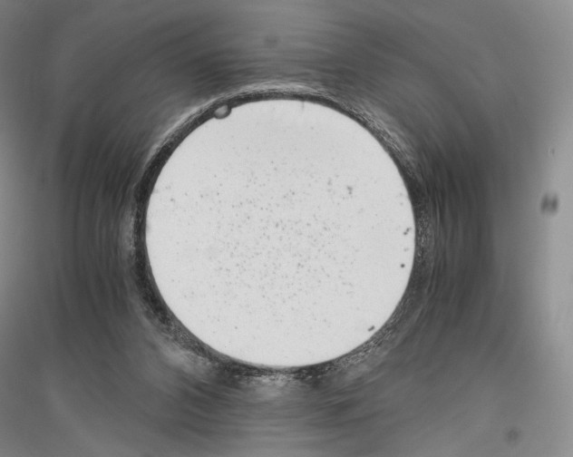 X0000116780112201001281130