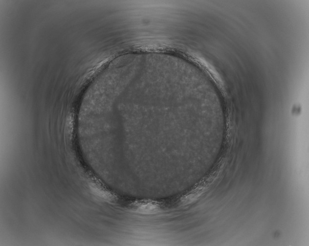 X0000116780113201001281130