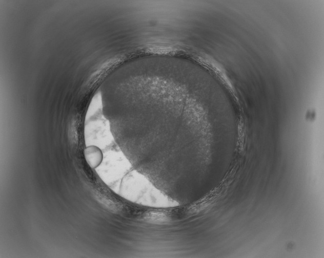 X0000116780114201001281130