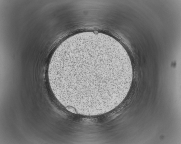 X0000116780115201001281130