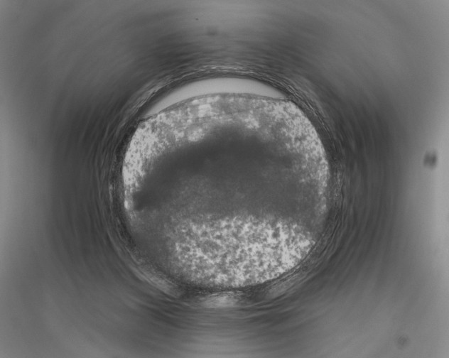 X0000116780116201001281130