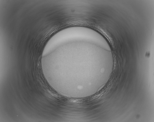 X0000116780117201001281130