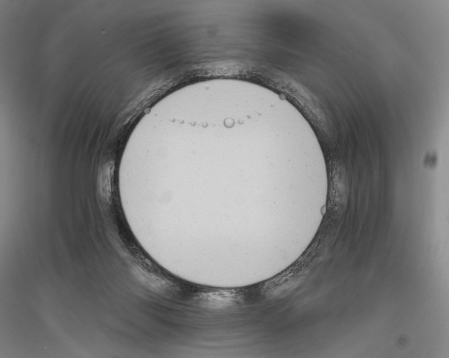 X0000116780118201001281130