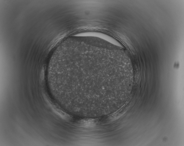 X0000116780120201001281130