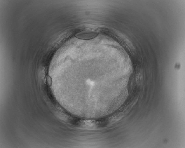 X0000116780121201001281130