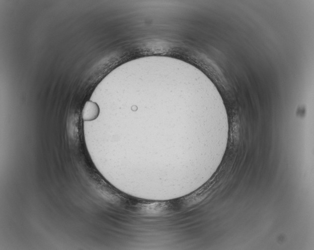 X0000116780122201001281129