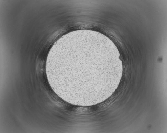 X0000116780123201001281129