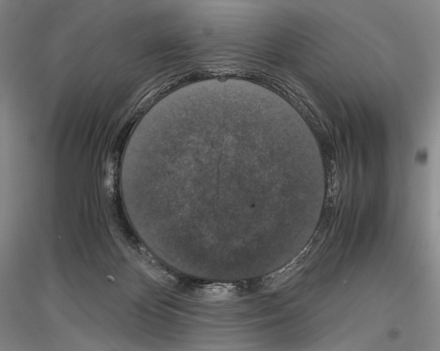 X0000116780124201001281129