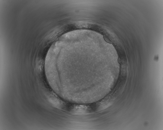 X0000116780125201001281129