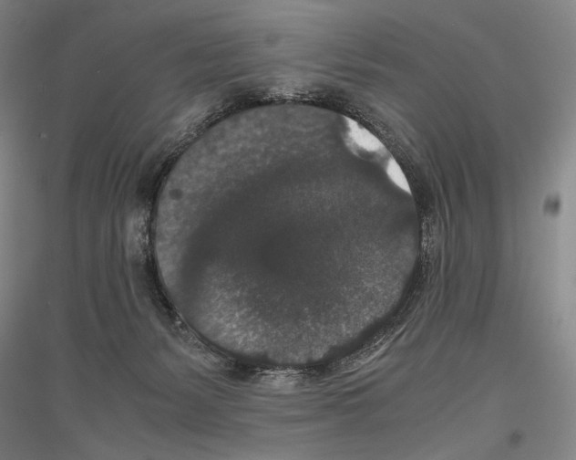 X0000116780127201001281129