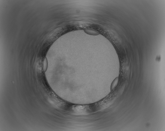 X0000116780129201001281129