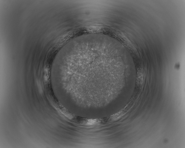 X0000116780130201001281129