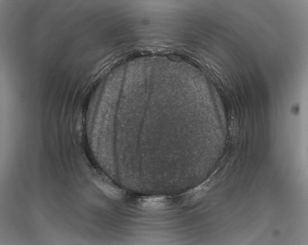 X0000116780132201001281129