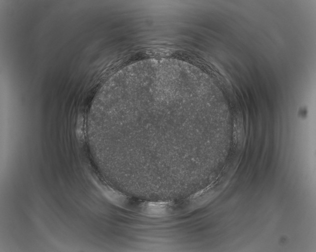 X0000116780134201001281129