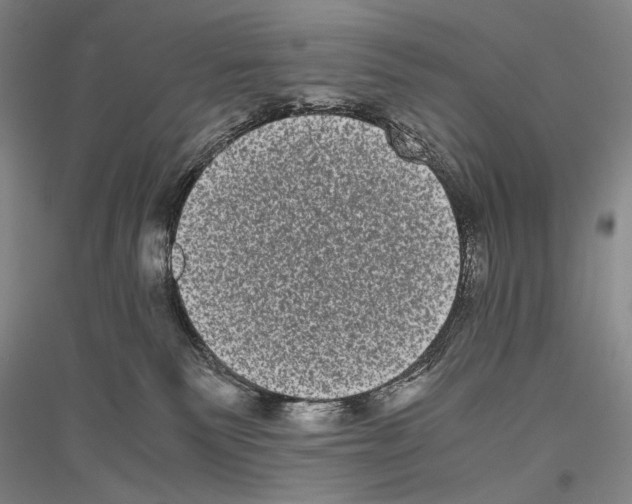 X0000116780135201001281129