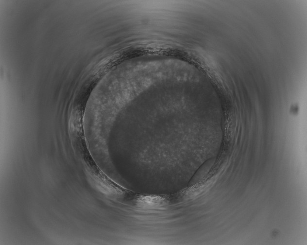 X0000116780137201001281129