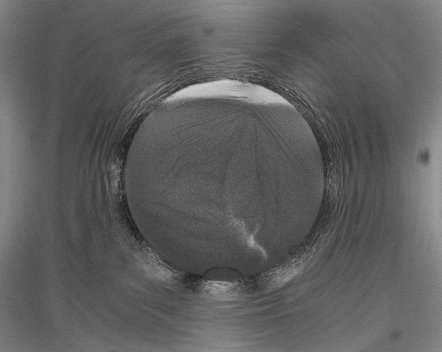 X0000116780139201001281129