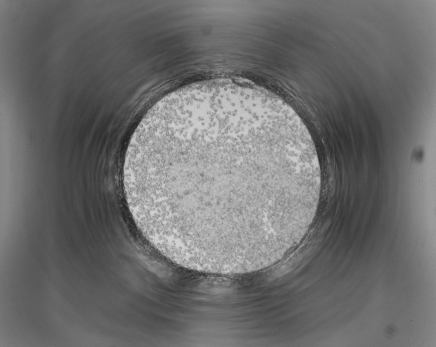 X0000116780140201001281129