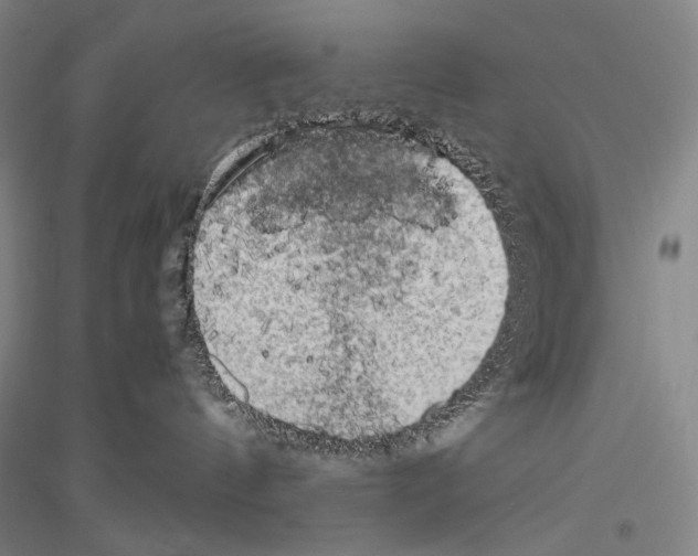 X0000116780144201001281129