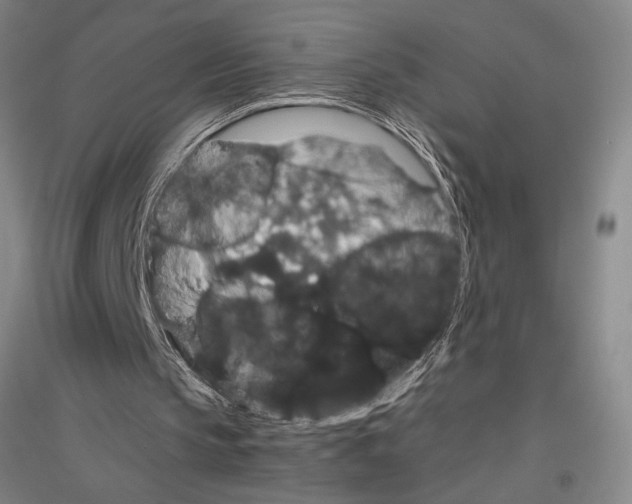 X0000116780145201001281129