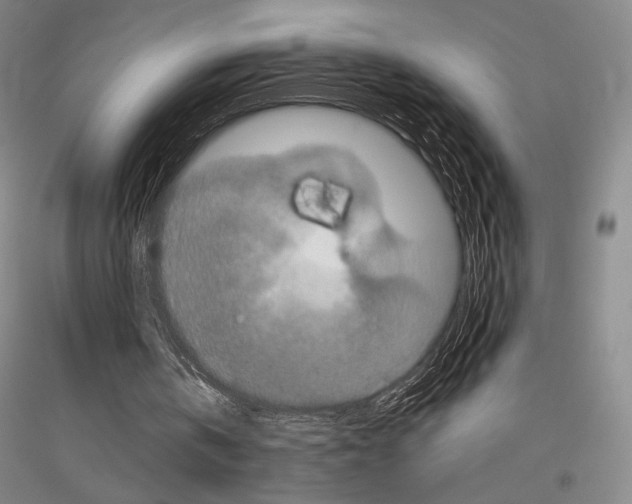 X0000116780146201001281129