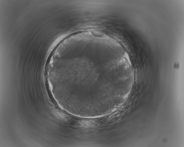 X0000116780147201001281129