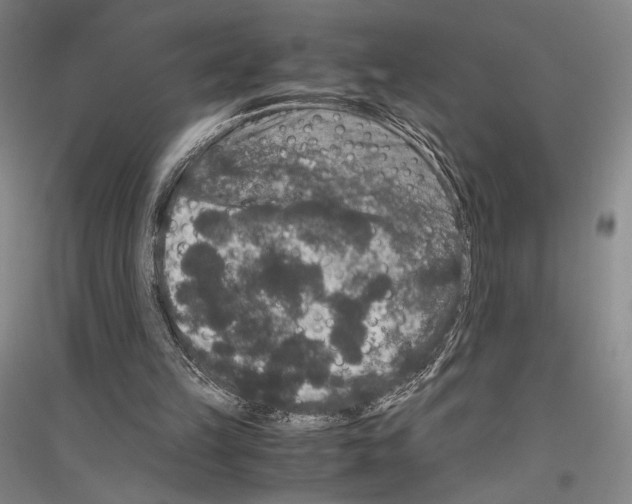 X0000116780149201001281129