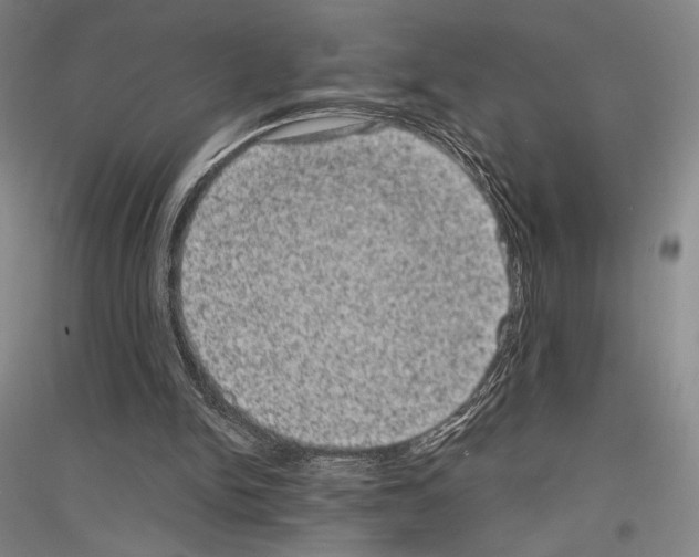 X0000116780150201001281129