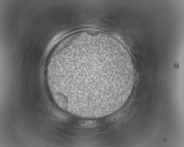 X0000116780151201001281129