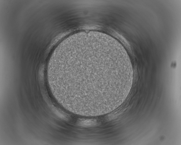 X0000116780155201001281129