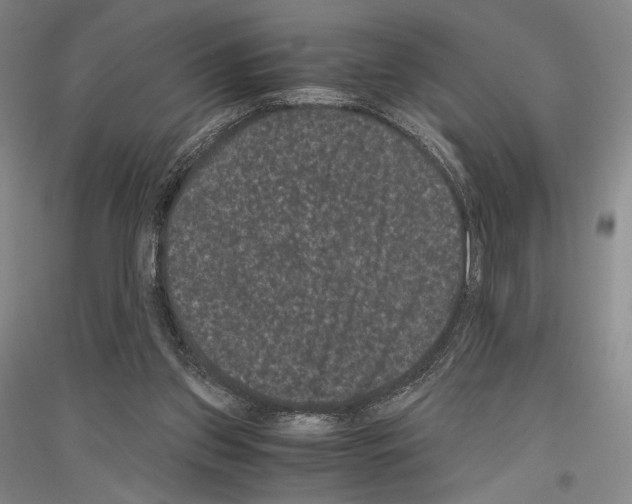 X0000116780157201001281129