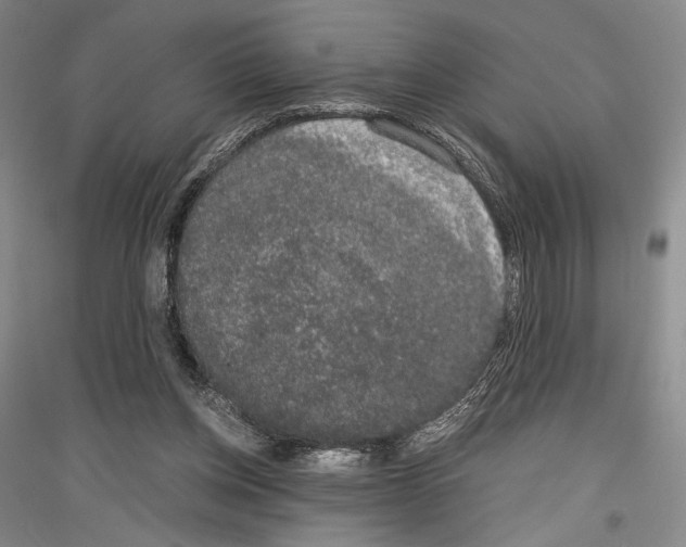 X0000116780158201001281129