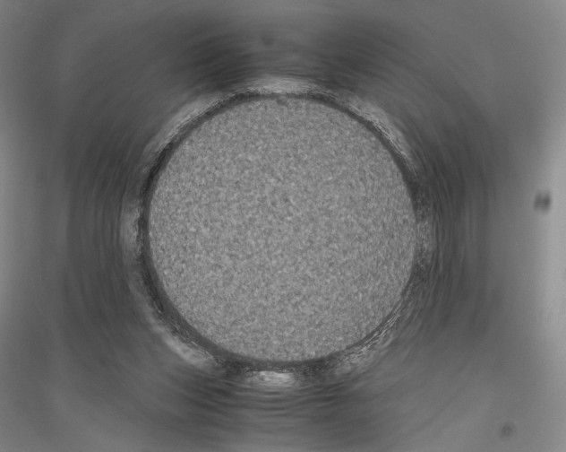 X0000116780159201001281129