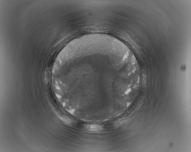 X0000116780165201001281129