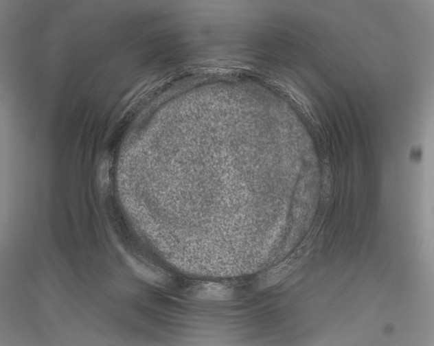 X0000116780166201001281129