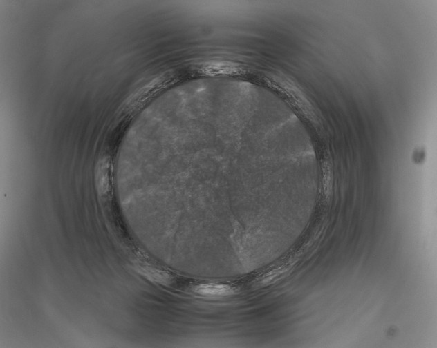 X0000116780169201001281129