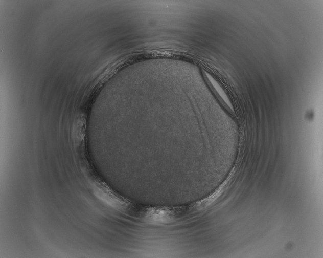 X0000116780174201001281129