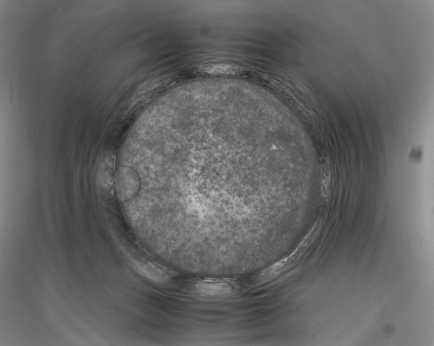 X0000116780175201001281129