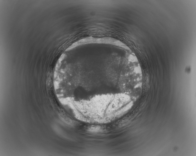 X0000116780177201001281129