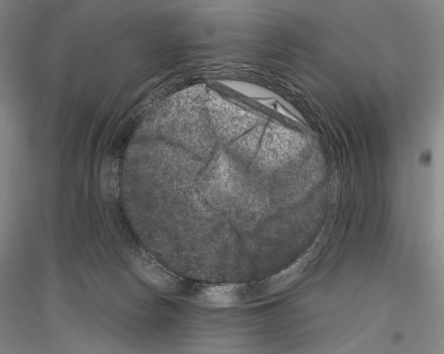 X0000116780178201001281129