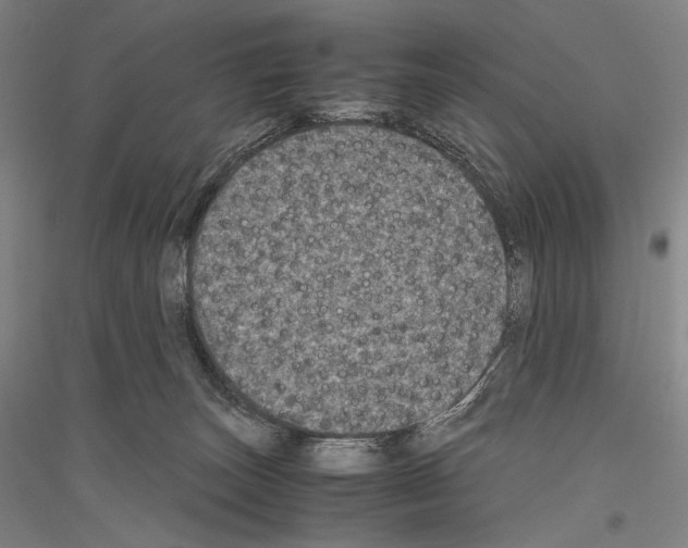 X0000116780179201001281129