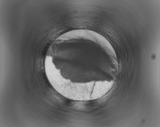 X0000116780182201001281129