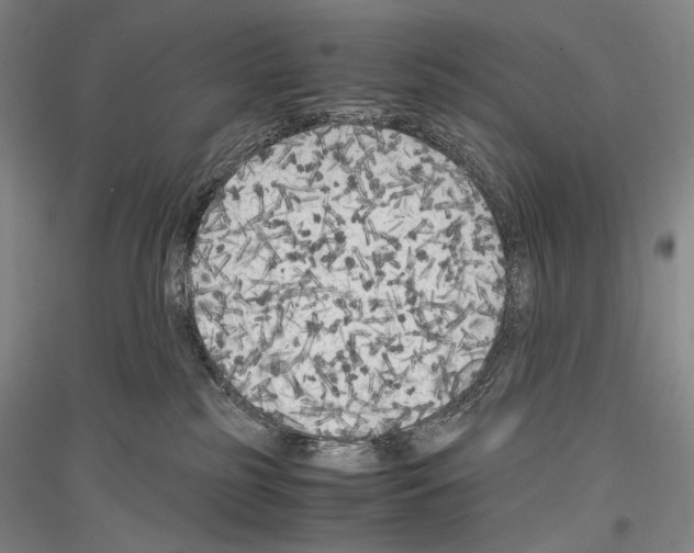 X0000116780185201001281129